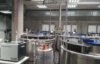 Ұлттық палата: Чехия гематологтарының тәжірибесі өзбекстандық науқастарға көмектеспек