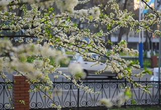 Прогноз погоды 25 марта