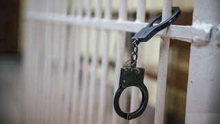 Qiynoqqa oid yana bir murojaat yolgʻon boʻlib chiqdi