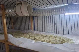 Dala hovlidagi yashirin narkolaboratoriya fosh etildi