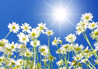 Прогноз погоды на 17 июня