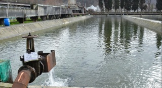 Suvdan samarali foydalanish Qonun bilan mustahkamlanmoqda