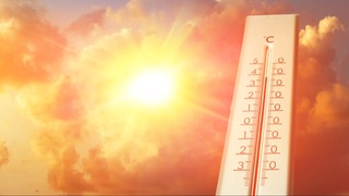 2023 – расман тарихдаги энг иссиқ йил бўлди