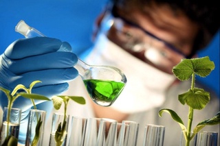 Barqaror qishloq xo‘jaligi uchun yashil biotexnologiya qonunchiligi nega muhim?