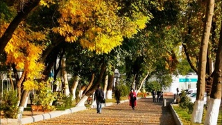 Прогноз погоды на 1 ноября