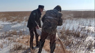 На территории национального природного парка «Центральный Кызылкум» и Государственного заповедника «Актау-Тамды» организованы биотехнические мероприятия