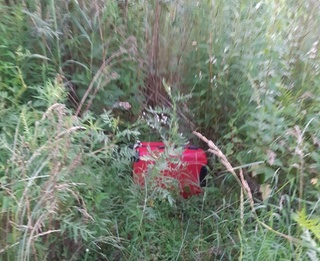 Тошкент вилоятида чамадон ичидан аёл мурдаси топилди