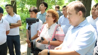 ФАО способствует внедрению цифровой инвентаризации лесных хозяйств Узбекистана