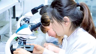 На какие результаты нацелен мегапроект в сфере животноводства и ветеринарии?