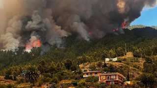 Kanar orollaridagi yong'in 50 kvadrat kilometrdan ortiq o'rmonni qamrab oldi