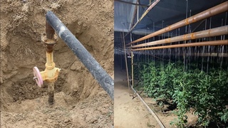 Бухоро туманида табиий газ тармоғига ноқонуний уланган иссиқхона фаолиятига чек қўйилди 