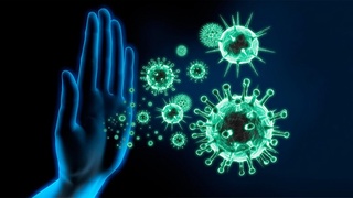 Дунё аҳолисининг ярмидан кўпи коронавирусга чалинса, эпидемия тарқалиши камая бошлайди