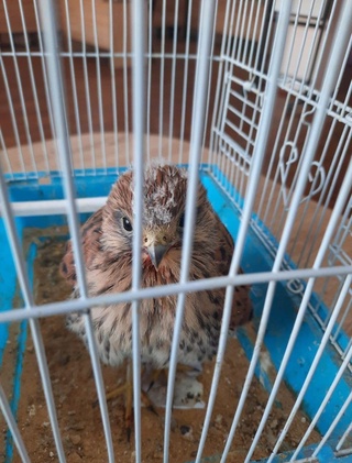 Табиатга бефарқлик қимматга тушди