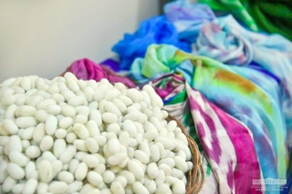 Pilla yetishtirshda qaysi hudud yetakchi?