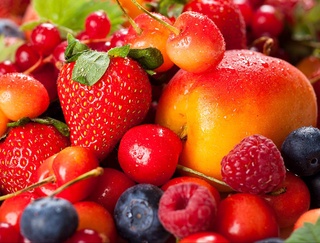 Компания из Нидерландов поделится с узбекистанскими фермерами технологиями выращивания ягод и фруктов