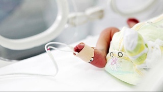 Kam uchraydigan (orfan) va boshqa irsiy-genetik kasalliklarga chalingan bolalarga yordam koʻrsatiladi