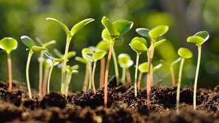 Фарғонада «AKIS» негизида халқаро лаборатория ишга туширилади