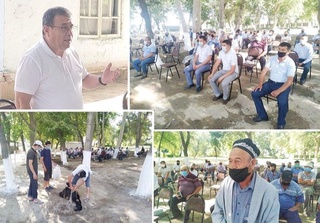 1000 тонна майиз камида 1 миллион долларга экспорт қилинади