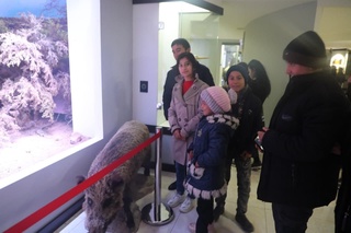 Мактаб ўқувчилари учун Термиз  шаҳрига саёҳат уюштирилди