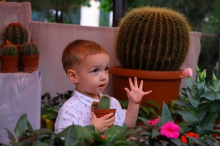 64-xalqaro gullar festivalida rekord: 30 million xonaki gul savdoga chiqdi