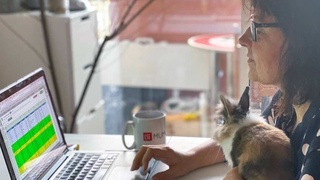 МОТ: работающие «на удаленке» люди имеют право на личную жизнь