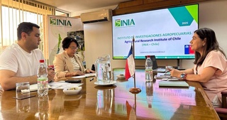 Uzbekistan is studying Chile's experience in growing high-yielding and disease-resistant grape and cherry varieties