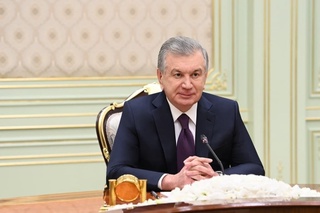 President of Uzbekistan receives Director of OSCE Office for Democratic Institutions and Human Rights