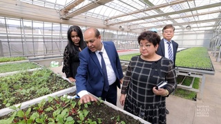 В Узбекистане открыли южнокорейский «Extension Center», консультирующий фермеров и дехкан, внедряющий научные новшества
