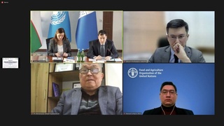 Состоялось заседание Координационного совета Совместной программы ПРООН, ЮНФПА и ФАО