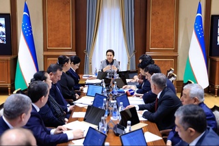 В Сенате обсудили вопросы обеспечения занятости и вовлечения женщин в предпринимательство