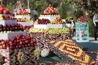 В Сурхандарьинской области прошел Фестиваль яблока