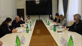 BMT Maxsus maʼruzachisi – Milliy markazda