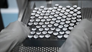 Allergiyaning oldini oluvchi dori ishlab chiqildi