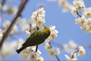 Прогноз погоды на 2 апреля