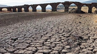 Европага қурғоқчилик хавф солмоқда