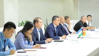 Узбекистан и Германия обсудили развитие партнерства в энергосфере