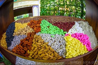 “Sof Expo Samarkand”da ilk ko'rgazma ish boshladi