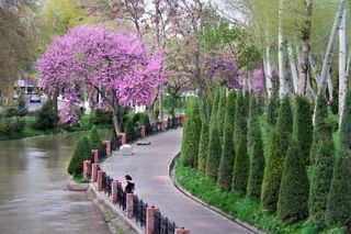 Пешгӯии обу ҳаво барои 29 март