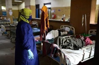 Бангладешда Нипаҳ вирусидан ўлим ҳолати қайд этилди