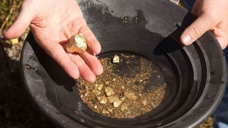 Жонини олтинга алишаётганлар сони ортмоқда