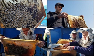 Asalarichilarning ilk tongi quyoshli kelgan yangi mavsumdan umidlari katta