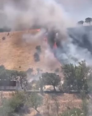 Тахтиқорача довонида чиққан ёнғин ҳақида дастлабки маълумот берилди