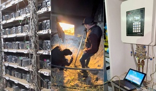 Аз аввали моҳи декабр дар Ӯзбекистон 73 миллиард сӯмина неруи барқ ва газ дуздида шудааст