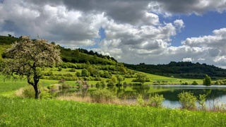 Weather forecast for August 28