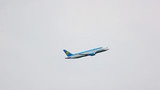 Самолёт Uzbekistan Airways благополучно приземлился в Москве после отказа двигателя