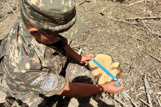 Қашқадарёда 17 туп арчага шикаст етказилди