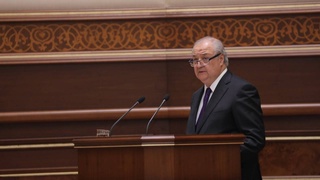 Сенаторы заслушали информацию министерства иностранных дел о деятельности в 2021 году