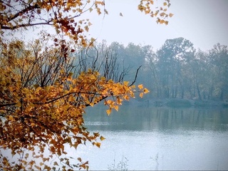 Weather forecast for December 29