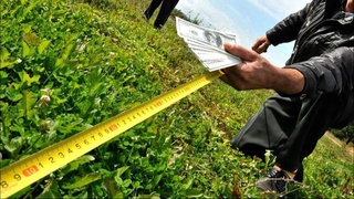 В Самаркандской и Кашкадарьинской областях пресечена незаконная продажа земельных участков