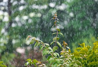 Прогноз погоды на 13 апреля